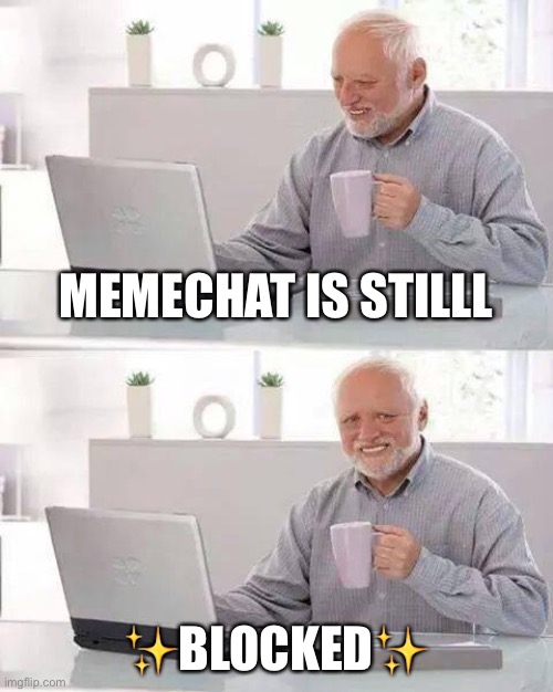 You all did something and I want to know | MEMECHAT IS STILLL; ✨BLOCKED✨ | image tagged in memes,hide the pain harold | made w/ Imgflip meme maker