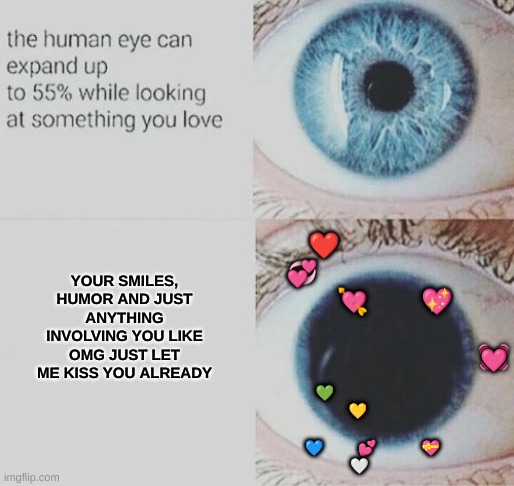I can't do wholesome memes ;-; | YOUR SMILES, HUMOR AND JUST ANYTHING INVOLVING YOU LIKE OMG JUST LET ME KISS YOU ALREADY; ❤️                                💞                                                        💘            💖                                                            
                                              💓; 💚                                     💛                                                         💙             💕                 💝
       🤍 | image tagged in eye pupil expand | made w/ Imgflip meme maker
