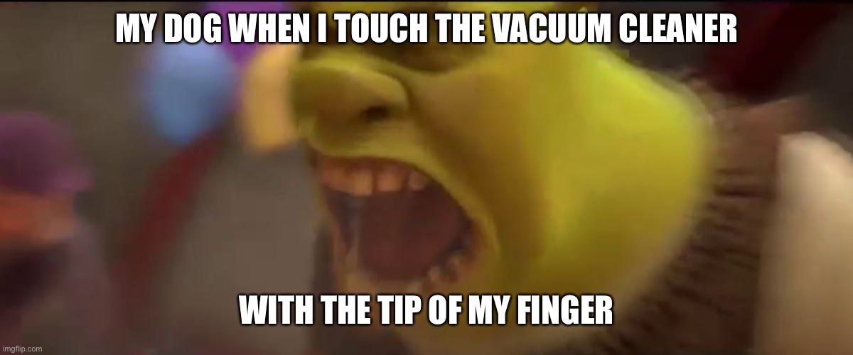 Just Shut Your Face Already! I’m Not Even Running The Vacuum! | MY DOG WHEN I TOUCH THE VACUUM CLEANER; WITH THE TIP OF MY FINGER | image tagged in shrek screaming,dogs,vacuum | made w/ Imgflip meme maker