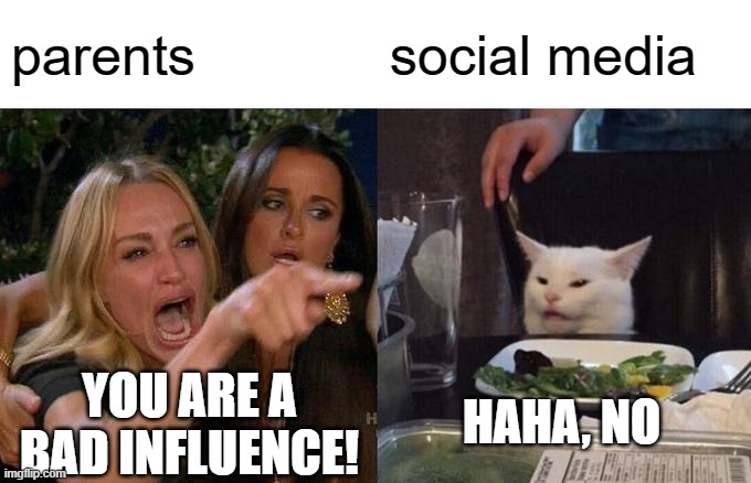Woman Yelling At Cat Meme | parents; social media; HAHA, NO; YOU ARE A BAD INFLUENCE! | image tagged in memes,woman yelling at cat | made w/ Imgflip meme maker
