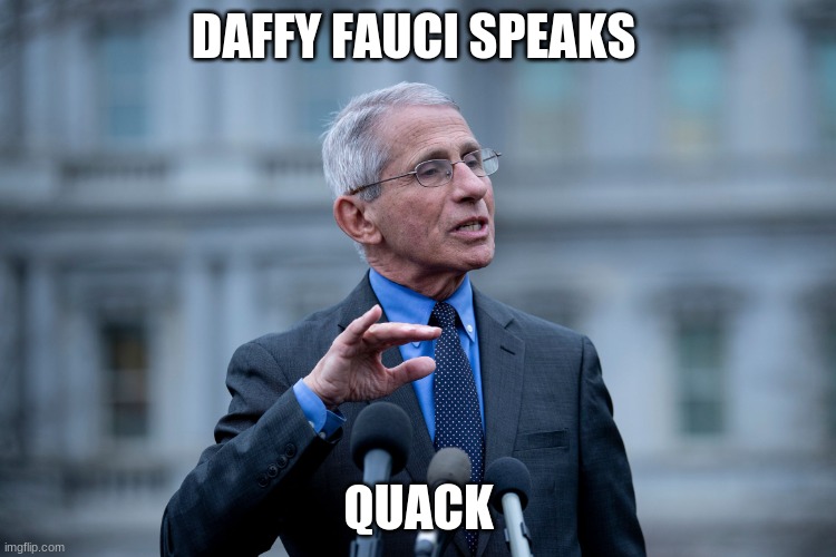 quack | DAFFY FAUCI SPEAKS; QUACK | image tagged in fauci | made w/ Imgflip meme maker