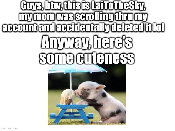 Hi :D | Guys, btw, this is LaiToTheSky, my mom was scrolling thru my account and accidentally deleted it lol; Anyway, here’s some cuteness | image tagged in blank white template | made w/ Imgflip meme maker