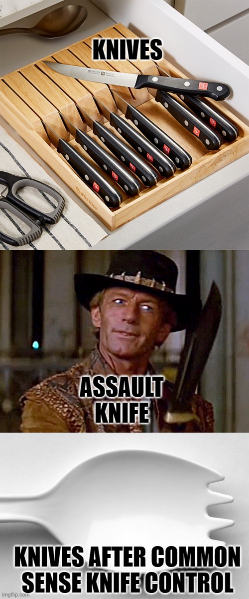 KNIVES; ASSAULT KNIFE; KNIVES AFTER COMMON SENSE KNIFE CONTROL | image tagged in knife drawer,crocodile dundee knife,spork | made w/ Imgflip meme maker