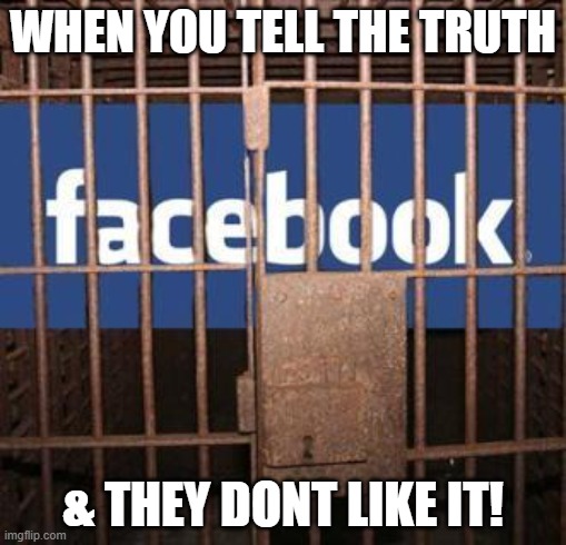 Facebook jail | WHEN YOU TELL THE TRUTH; & THEY DONT LIKE IT! | image tagged in facebook jail | made w/ Imgflip meme maker
