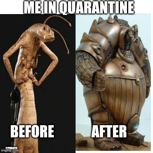 Quarantine weight gain | ME IN QUARANTINE; BEFORE; AFTER; @KIKIOYE | image tagged in memes,blank transparent square,fifth element,mib,men in black,aliens | made w/ Imgflip meme maker