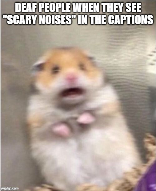 AHHHHH |  DEAF PEOPLE WHEN THEY SEE "SCARY NOISES" IN THE CAPTIONS | image tagged in scared hamster | made w/ Imgflip meme maker