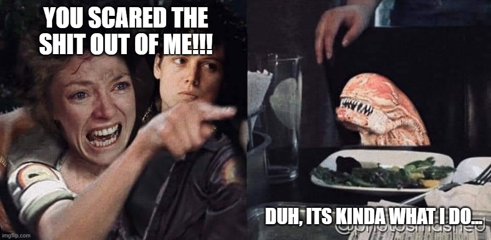 karen | YOU SCARED THE SHIT OUT OF ME!!! DUH, ITS KINDA WHAT I DO... | image tagged in scared | made w/ Imgflip meme maker