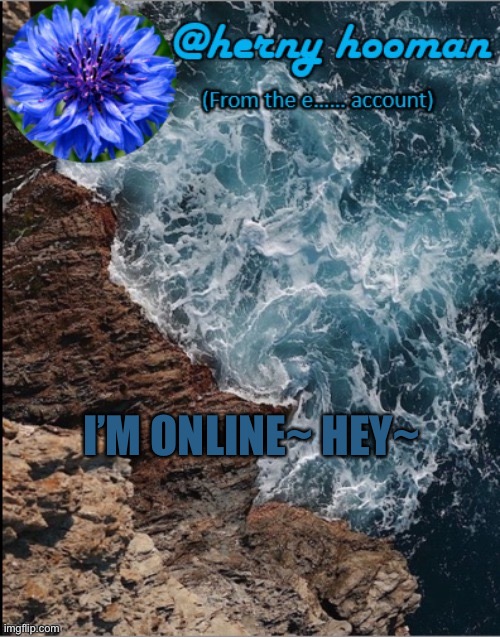 Herny hooman | I’M ONLINE~ HEY~ | image tagged in herny hooman | made w/ Imgflip meme maker