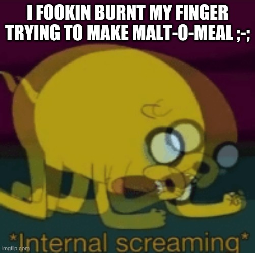 it hurts ;-; | I FOOKIN BURNT MY FINGER TRYING TO MAKE MALT-O-MEAL ;-; | image tagged in jake the dog internal screaming | made w/ Imgflip meme maker