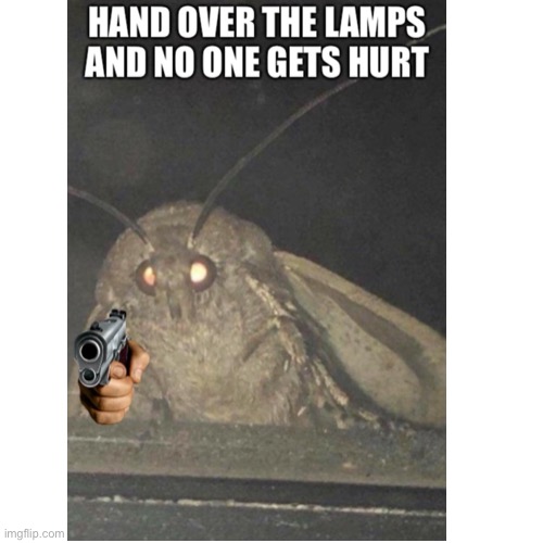 Hand over the lamps | image tagged in memes,dragonfly stream | made w/ Imgflip meme maker