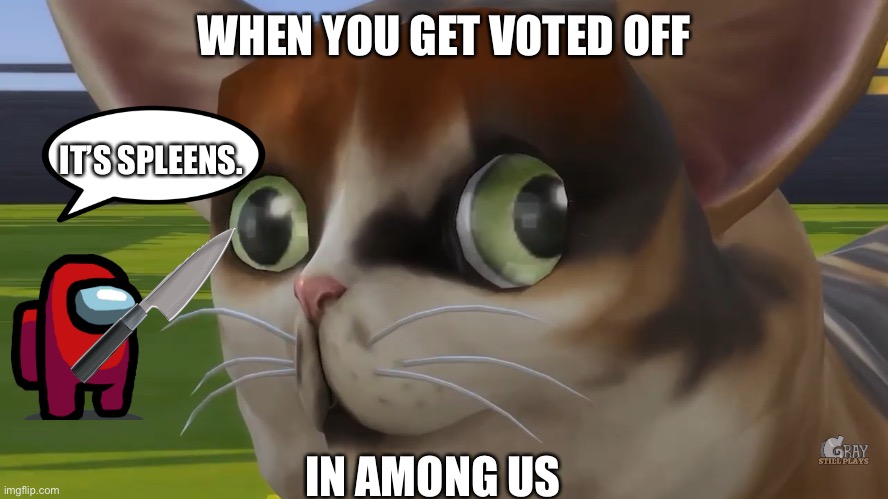 Spleens the cat | WHEN YOU GET VOTED OFF; IT’S SPLEENS. IN AMONG US | image tagged in spleens the cat | made w/ Imgflip meme maker