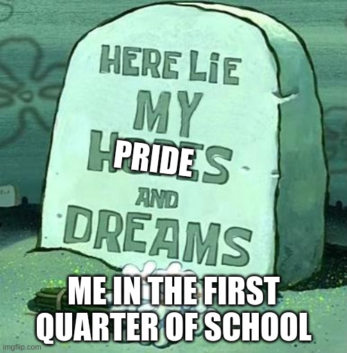 I was an all A student who dropped to a 79 in math :[ | PRIDE; ME IN THE FIRST QUARTER OF SCHOOL | image tagged in here lie my hopes and dreams | made w/ Imgflip meme maker