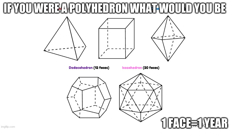 im a regular polyhedron, a dodecahedron | IF YOU WERE A POLYHEDRON WHAT WOULD YOU BE; 1 FACE=1 YEAR | made w/ Imgflip meme maker