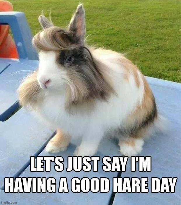 Hoppy Easter to you all. | image tagged in bunnies | made w/ Imgflip meme maker