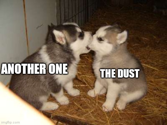 Cute Puppies | THE DUST; ANOTHER ONE | image tagged in memes,cute puppies | made w/ Imgflip meme maker