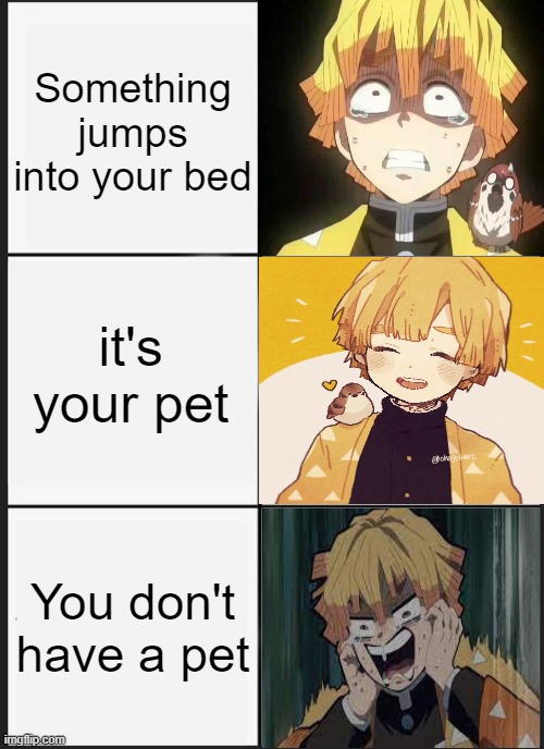 Panik Kalm Panik | Something jumps into your bed; it's your pet; You don't have a pet | image tagged in memes,panik kalm panik | made w/ Imgflip meme maker
