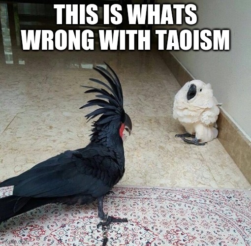 White bird afraid of goth bird | THIS IS WHATS WRONG WITH TAOISM | image tagged in white bird afraid of goth bird | made w/ Imgflip meme maker
