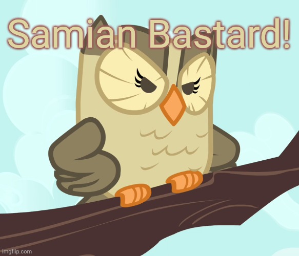 Scowled Owlowiscious (MLP) | Samian Bastard! | image tagged in scowled owlowiscious mlp | made w/ Imgflip meme maker