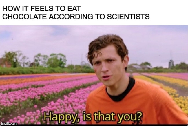 scientists when you eat a chocolate bar | HOW IT FEELS TO EAT CHOCOLATE ACCORDING TO SCIENTISTS | image tagged in happy is that you | made w/ Imgflip meme maker
