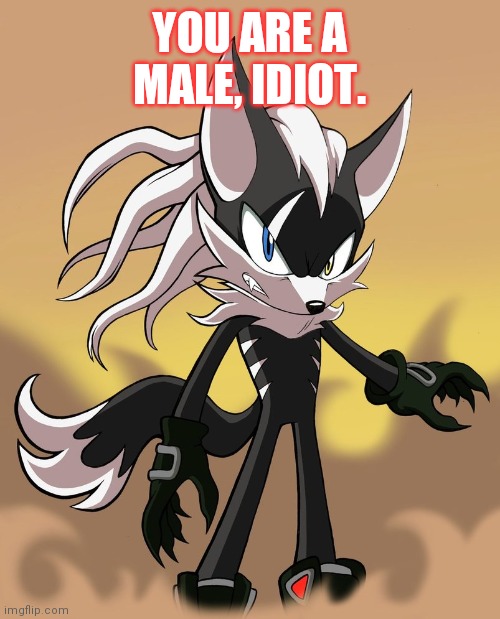 Infinite disapproves | YOU ARE A MALE, IDIOT. | image tagged in infinite disapproves | made w/ Imgflip meme maker