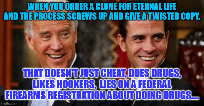 WHEN YOU ORDER A CLONE FOR ETERNAL LIFE AND THE PROCESS SCREWS UP AND GIVE A TWISTED COPY. THAT DOESN'T JUST CHEAT, DOES DRUGS, LIKES HOOKERS,  LIES ON A FEDERAL FIREARMS REGISTRATION ABOUT DOING DRUGS.... | image tagged in trouble,corrupt,worthless | made w/ Imgflip meme maker
