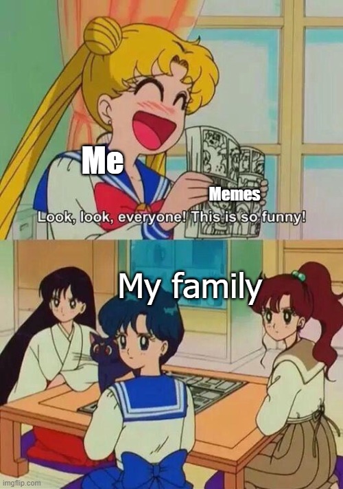 Nobody understands me T^T | Me; Memes; My family | image tagged in so funny sailor moon | made w/ Imgflip meme maker