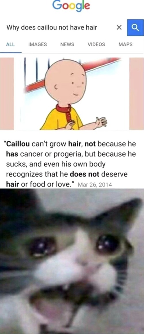 image tagged in crying cat | made w/ Imgflip meme maker