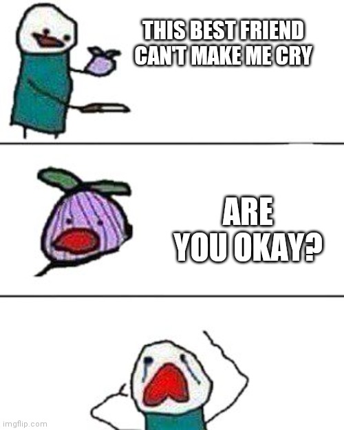 this onion won't make me cry | THIS BEST FRIEND CAN'T MAKE ME CRY; ARE YOU OKAY? | image tagged in this onion won't make me cry | made w/ Imgflip meme maker