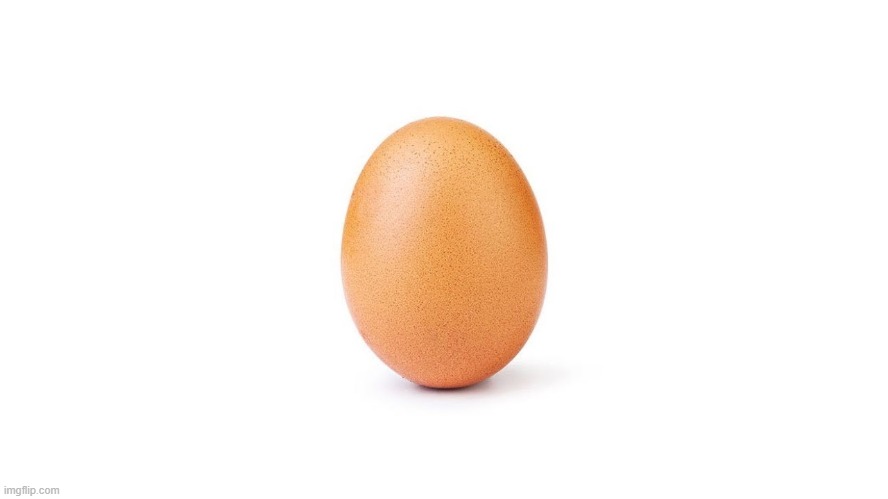 WORLD RECORD EGG | image tagged in world record egg | made w/ Imgflip meme maker