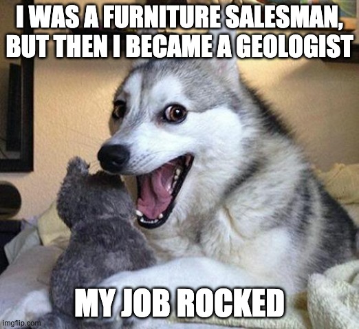 Job change | I WAS A FURNITURE SALESMAN, BUT THEN I BECAME A GEOLOGIST; MY JOB ROCKED | image tagged in pun dog punchline,geology,rocks | made w/ Imgflip meme maker