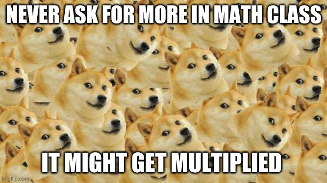 Multi Doge | NEVER ASK FOR MORE IN MATH CLASS; IT MIGHT GET MULTIPLIED | image tagged in memes,multi doge | made w/ Imgflip meme maker