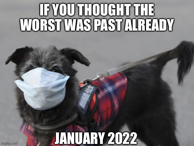 New Corona Laws | IF YOU THOUGHT THE WORST WAS PAST ALREADY; JANUARY 2022 | image tagged in coronavirus,covid-19,face mask,mask | made w/ Imgflip meme maker