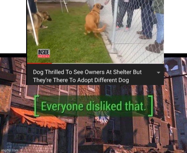 image tagged in sad,dislike,dog | made w/ Imgflip meme maker