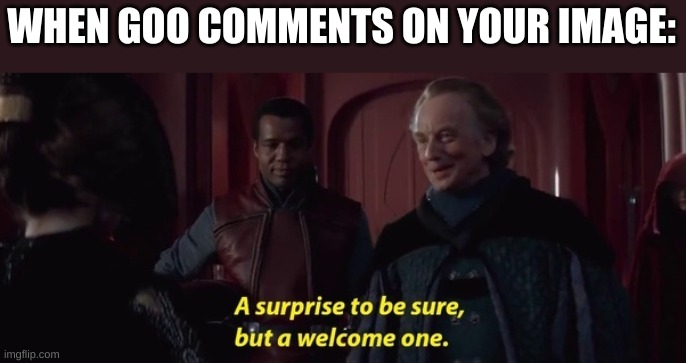 A Surprise to be sure | WHEN GOO COMMENTS ON YOUR IMAGE: | image tagged in a surprise to be sure | made w/ Imgflip meme maker