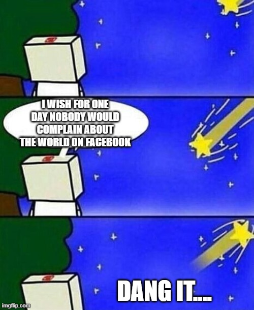 falling star wish desire disappointment | I WISH FOR ONE DAY NOBODY WOULD COMPLAIN ABOUT THE WORLD ON FACEBOOK; DANG IT.... | image tagged in falling star wish desire disappointment | made w/ Imgflip meme maker