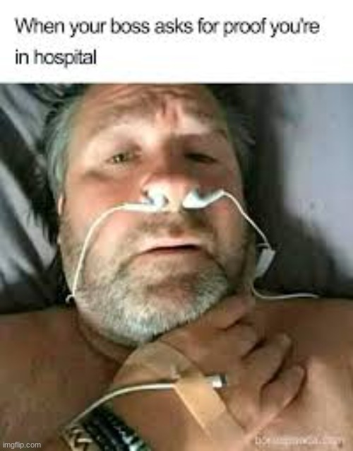boss im sick | image tagged in funny | made w/ Imgflip meme maker
