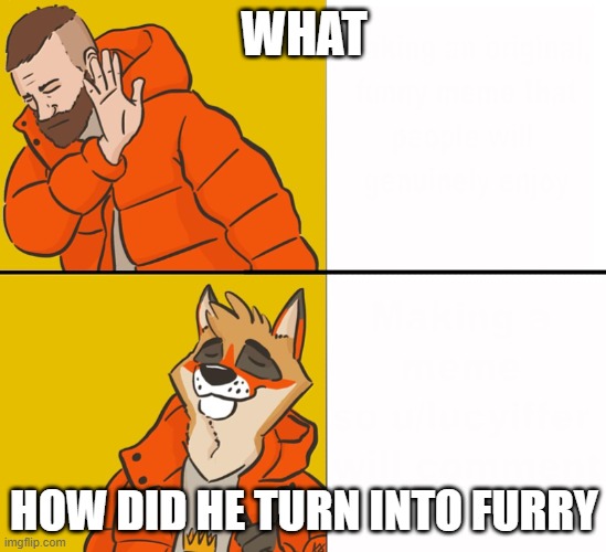 how | WHAT; HOW DID HE TURN INTO FURRY | image tagged in furry drake | made w/ Imgflip meme maker