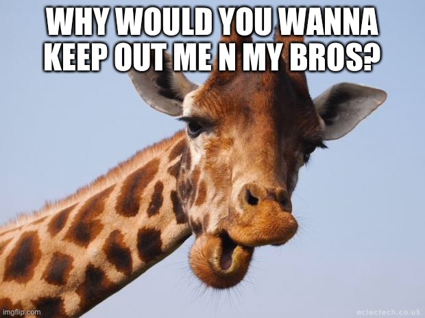 Comeback Giraffe | WHY WOULD YOU WANNA KEEP OUT ME N MY BROS? | image tagged in comeback giraffe | made w/ Imgflip meme maker