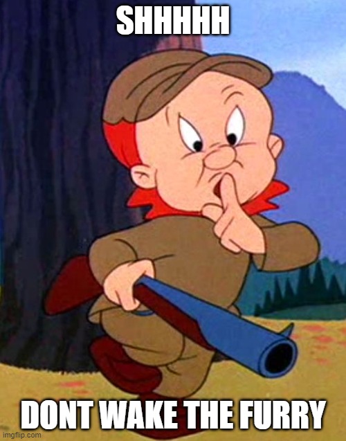 Dont |  SHHHHH; DONT WAKE THE FURRY | image tagged in elmer fudd | made w/ Imgflip meme maker