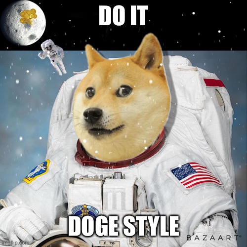 Dogecoin DOGE | DO IT; DOGE STYLE | image tagged in doge,dogecoin,crypto,cryptocurrency,bitcoin,elon musk | made w/ Imgflip meme maker