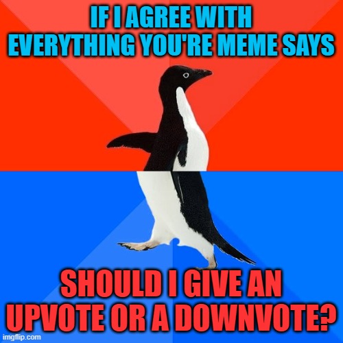 Socially Awesome Awkward Penguin Meme | IF I AGREE WITH EVERYTHING YOU'RE MEME SAYS SHOULD I GIVE AN UPVOTE OR A DOWNVOTE? | image tagged in memes,socially awesome awkward penguin | made w/ Imgflip meme maker
