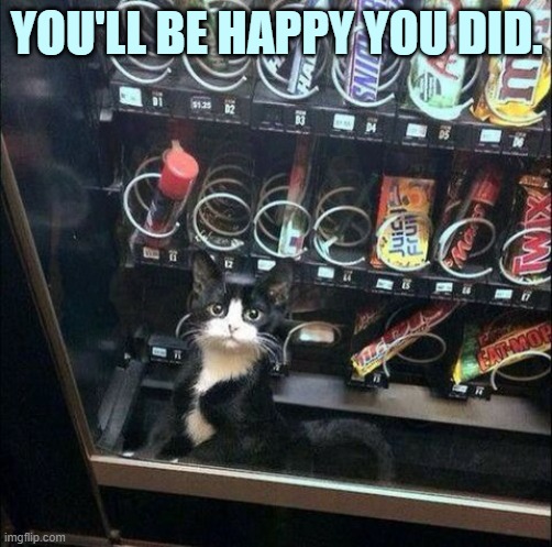 Pick me! Pick me! | YOU'LL BE HAPPY YOU DID. | image tagged in memes,cats,cute,vending machine,pick me,be happy | made w/ Imgflip meme maker