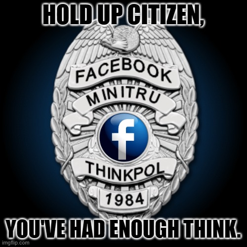 Facebook MiniTru ThinkPol 1984 Badge | HOLD UP CITIZEN, YOU'VE HAD ENOUGH THINK. | image tagged in facebook minitru thinkpol 1984 badge | made w/ Imgflip meme maker
