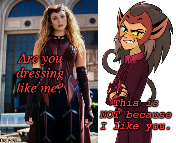 Has Catra been browsing Wanda's closet? | Are you dressing like me? This is NOT because I like you. | image tagged in mcu,wandavision,she-ra,twins | made w/ Imgflip meme maker