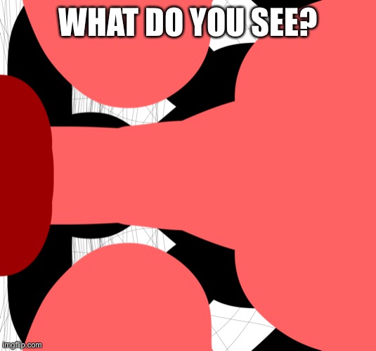 WHAT DO YOU SEE? | made w/ Imgflip meme maker