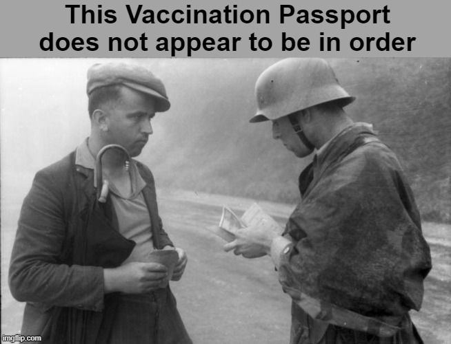 Vaccination Papers Covid-19 |  This Vaccination Passport does not appear to be in order | image tagged in covid,nazis,lefties,democrats | made w/ Imgflip meme maker