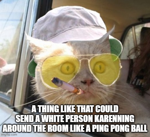 Fear And Loathing Cat Meme |  A THING LIKE THAT COULD SEND A WHITE PERSON KARENNING AROUND THE ROOM LIKE A PING PONG BALL | image tagged in memes,fear and loathing cat | made w/ Imgflip meme maker