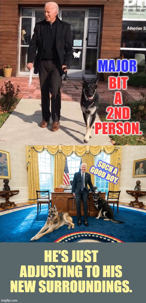 Why Should Joe Biden's Dog Be Any Different Than How He Runs The Country? | BIT A 2ND PERSON. MAJOR; SUCH A GOOD BOY. HE'S JUST ADJUSTING TO HIS NEW SURROUNDINGS. | image tagged in joe biden,dog,bite,2nd time,blame,new horizons | made w/ Imgflip meme maker