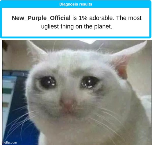No. I AM ADORABLE!!!!!!! This was just mean. | image tagged in crying cat | made w/ Imgflip meme maker