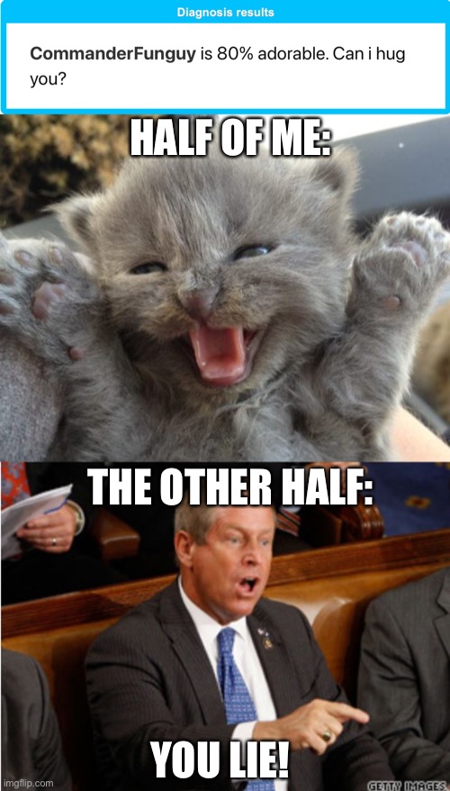 LOL | HALF OF ME:; THE OTHER HALF:; YOU LIE! | image tagged in yay kitty,you lie | made w/ Imgflip meme maker